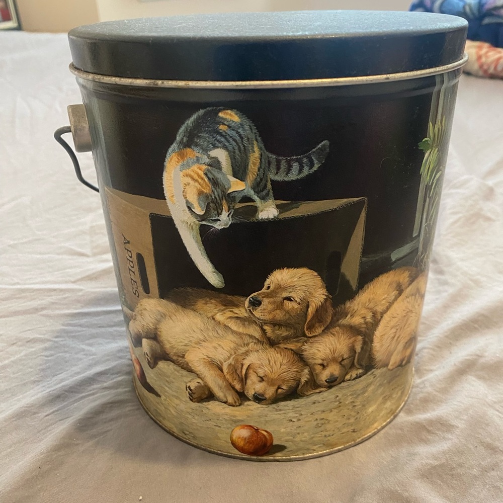 Metal tin with puppies on it